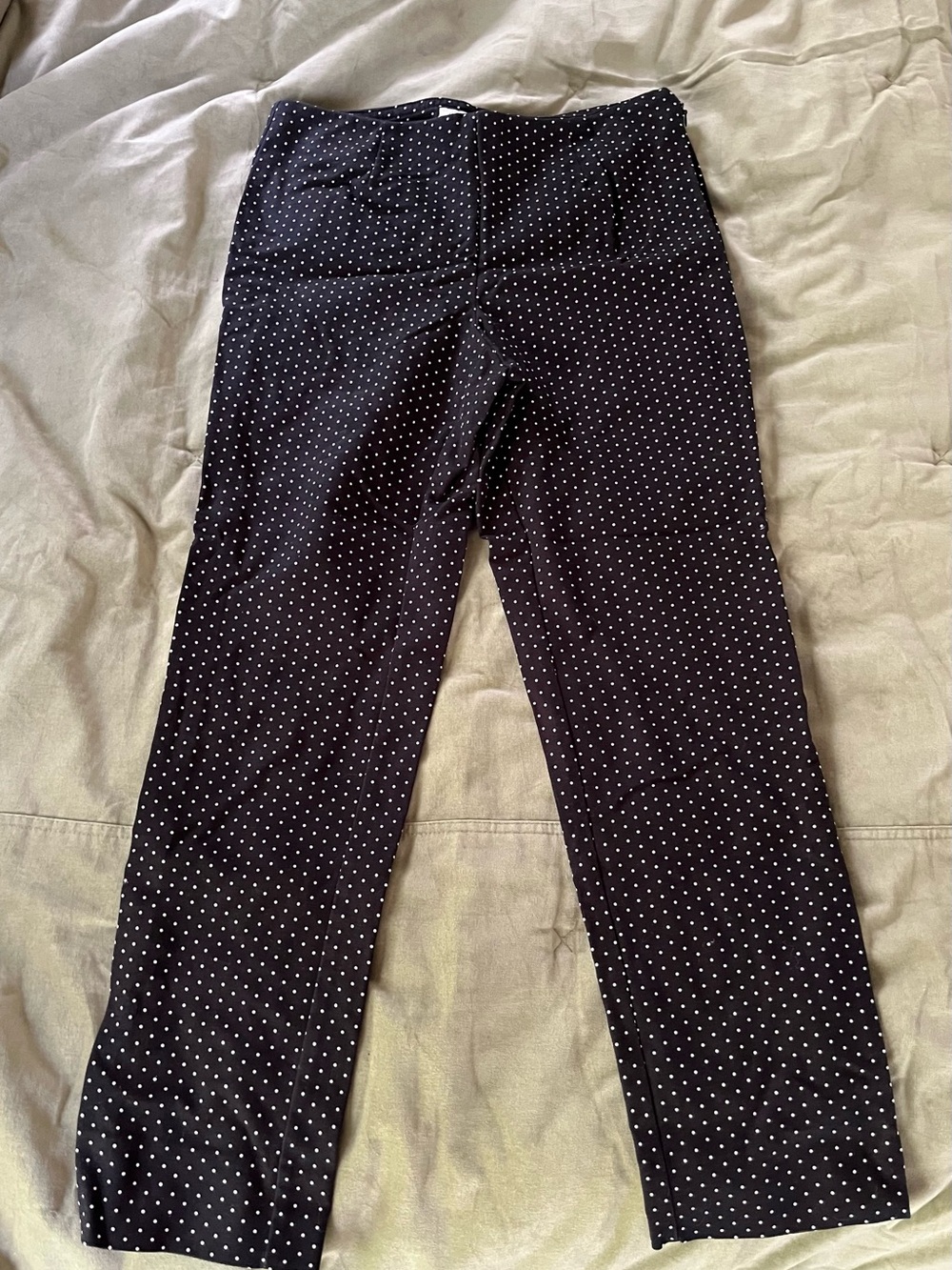 Charter Club Black with White Polka Dot Pants